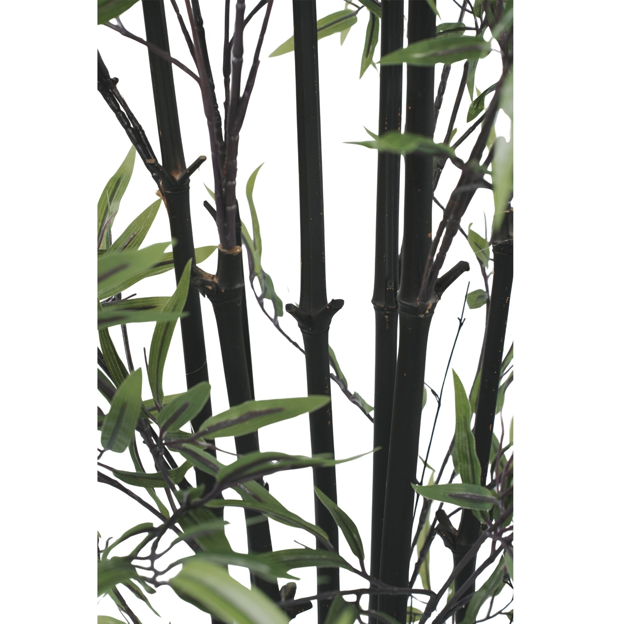 Premium Dense Artificial Black Bamboo 59.1in