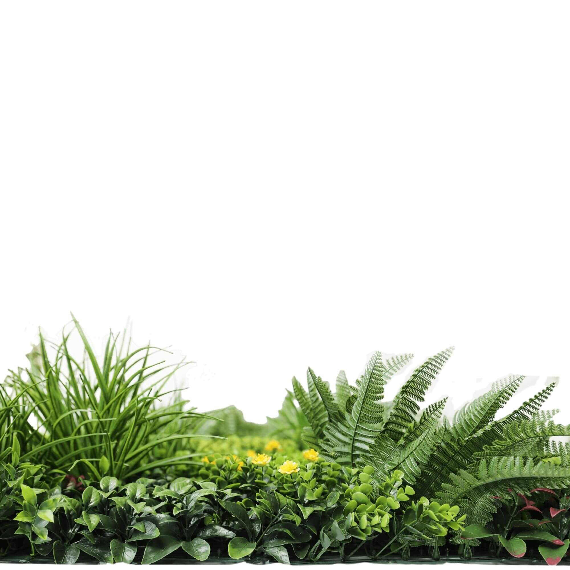 Sample Panel – Country Fern Vertical Garden (Small Sample)