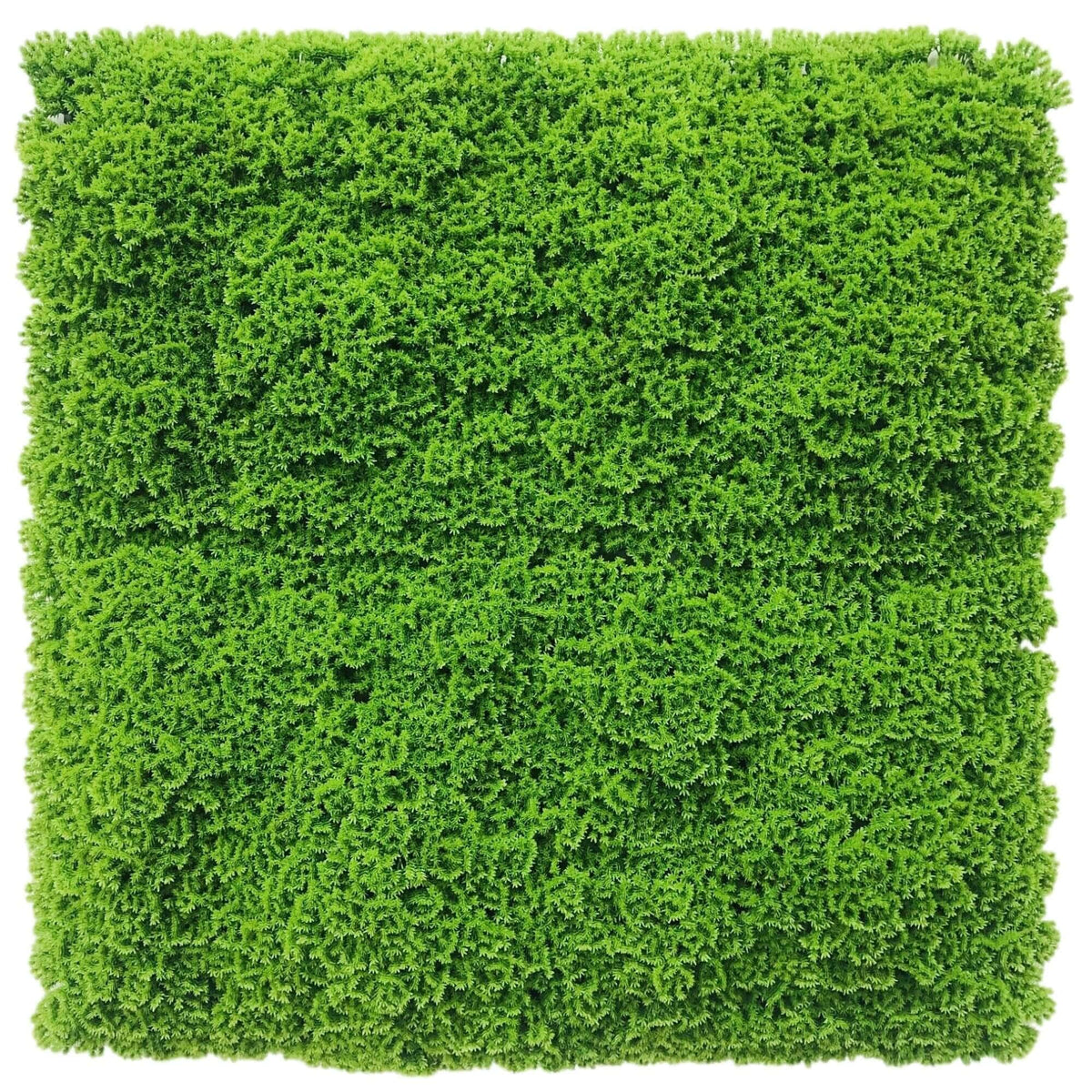 Sample Panel – Evergreen Moss Mat (Small Sample)