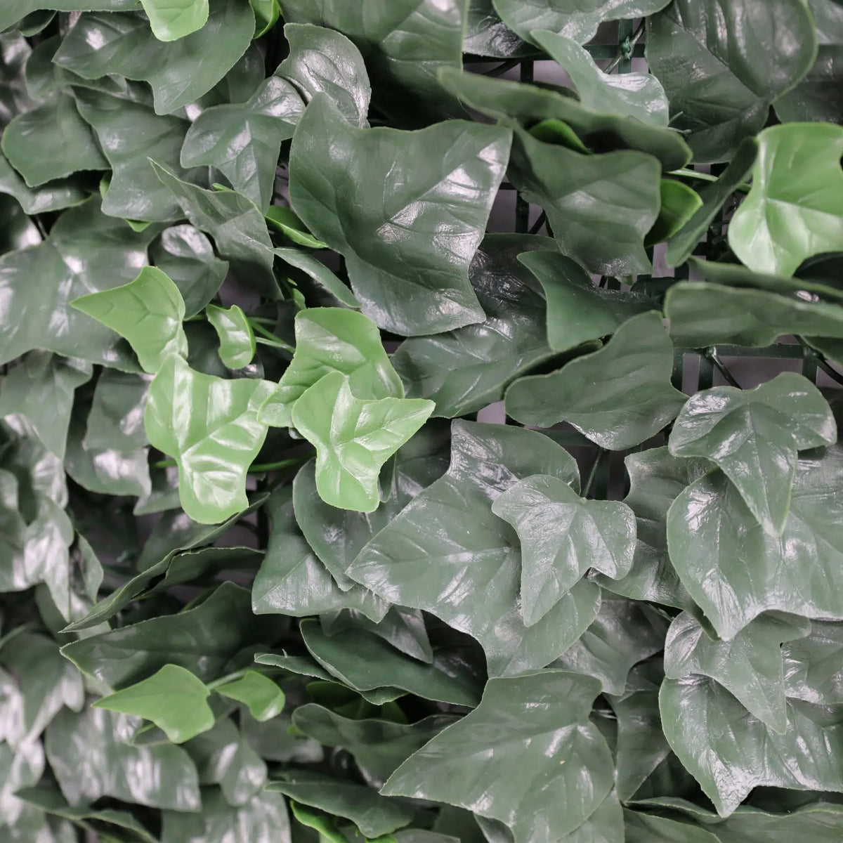 Muro artificial Boston Ivy Green de 33 pies cuadrados resistente a los rayos UV