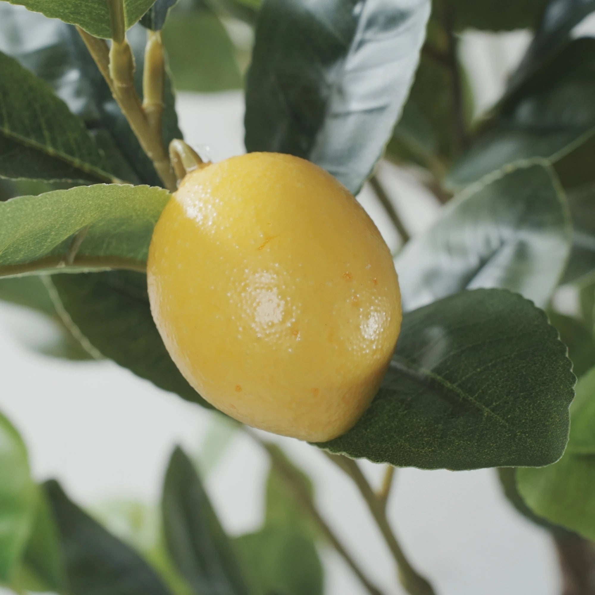 Premium Artificial Lemon Tree 63.0in