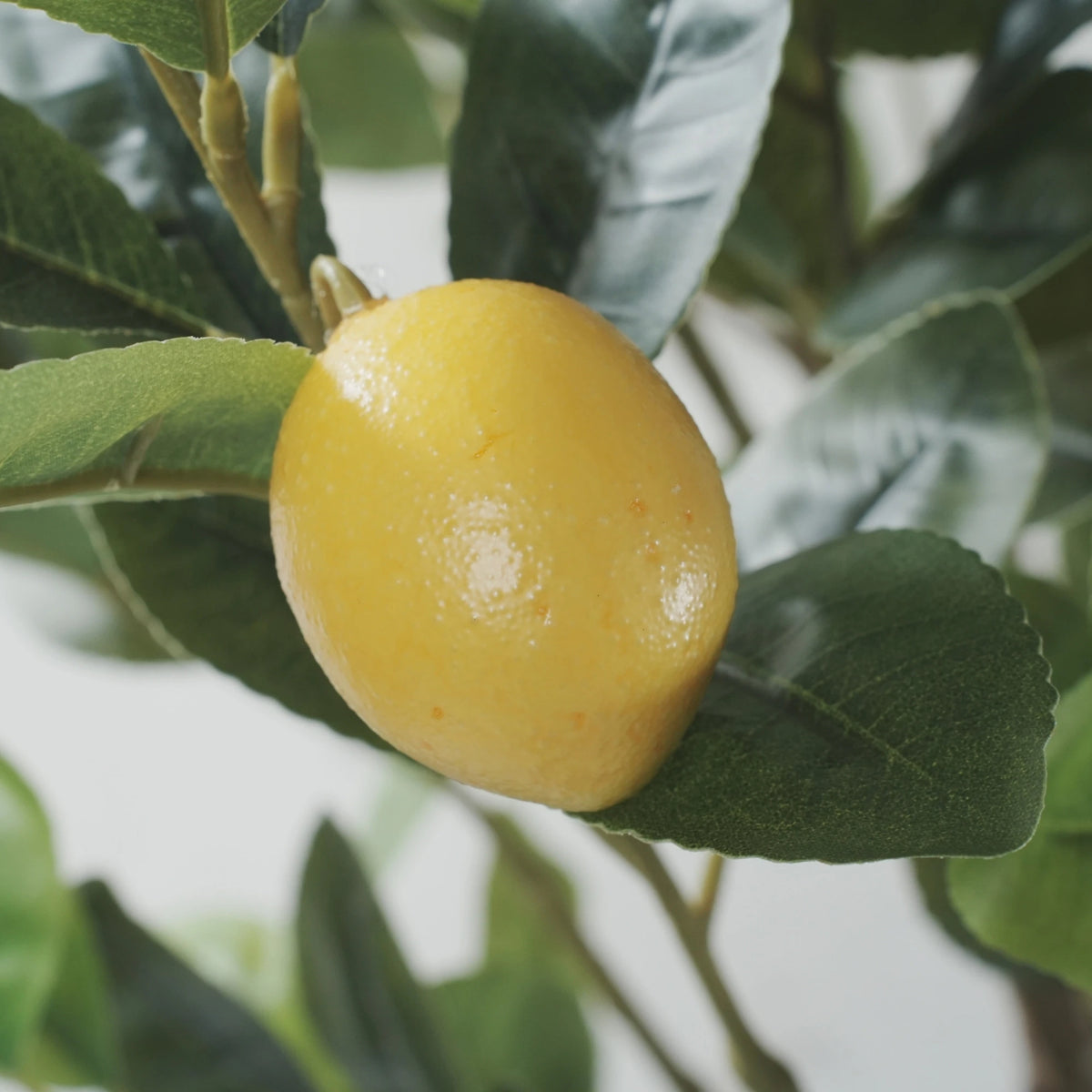 Lemon Artificial Tree 63.0in