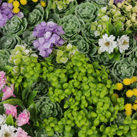 [TEST] Artificial Moss and Succulent Hanging Wall Art Frame 20" Square UV Resistant (Outdoor Proof)