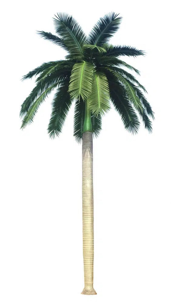 Royal Palm Faux Tree for Hotels Airports and Event Spaces