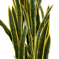 Snake Plant Sansevieria Artificial Tree 59.1in – UV Resistant