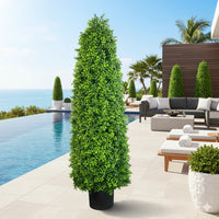 Artificial bright Buxus tree in front of pool