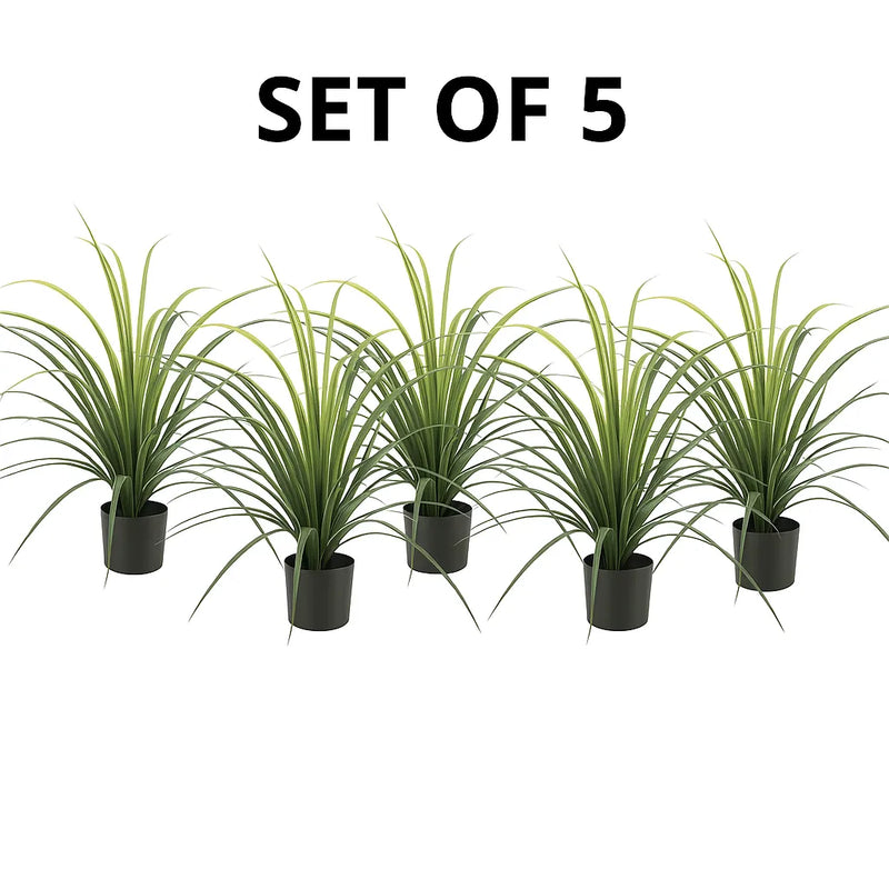 Set of 5 Potted Artificial Long Grass (Yucca Grass) 30" UV Resistant (Clearance Price)
