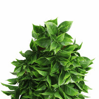 Dense Flowering Pothos Artificial Hanging Bush 10.6×28.5in – NFPA701 Fire Rated – UV Resistant
