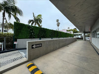 Panel de muestra de pared verde artificial de helecho exuberante (muestra pequeña) Grado comercial resistente a los rayos UV