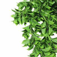 Dense Flowering Pothos Artificial Hanging Bush 10.6×28.5in – NFPA701 Fire Rated – UV Resistant