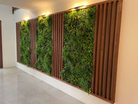 Sample Panel – Country Fern Vertical Garden (Small Sample)