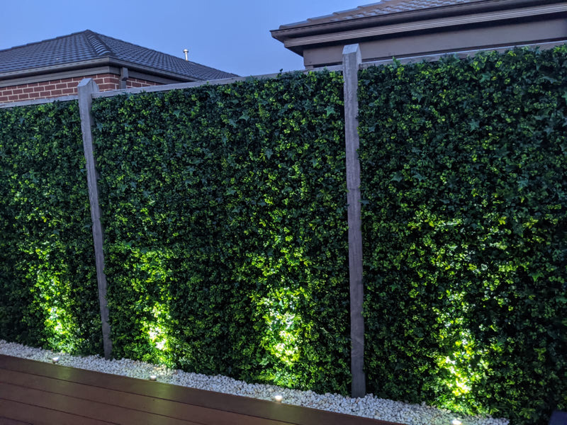 designer plants green walls