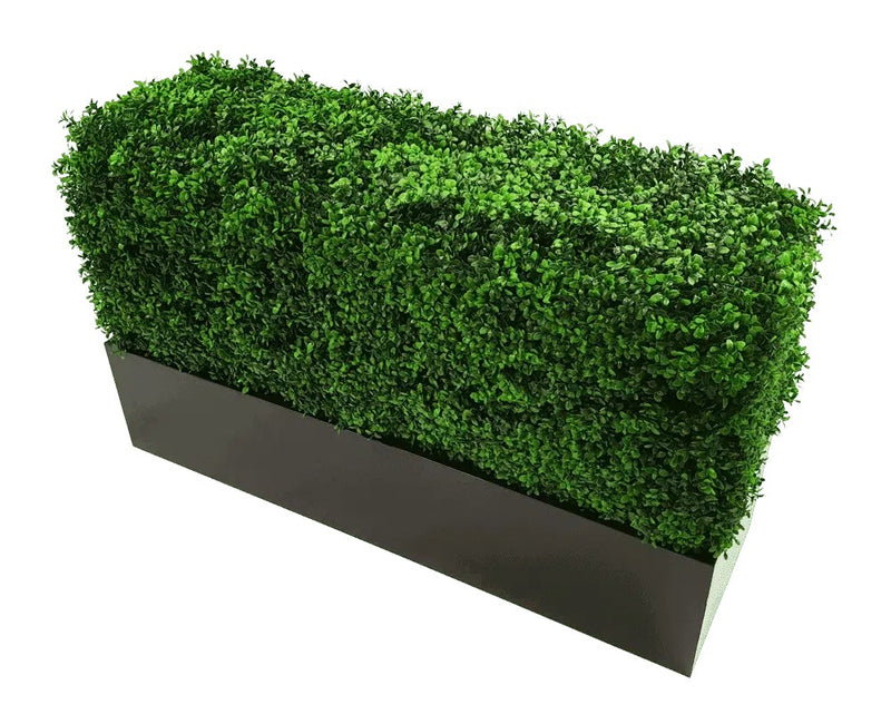 How it looks with an artificial hedge inside