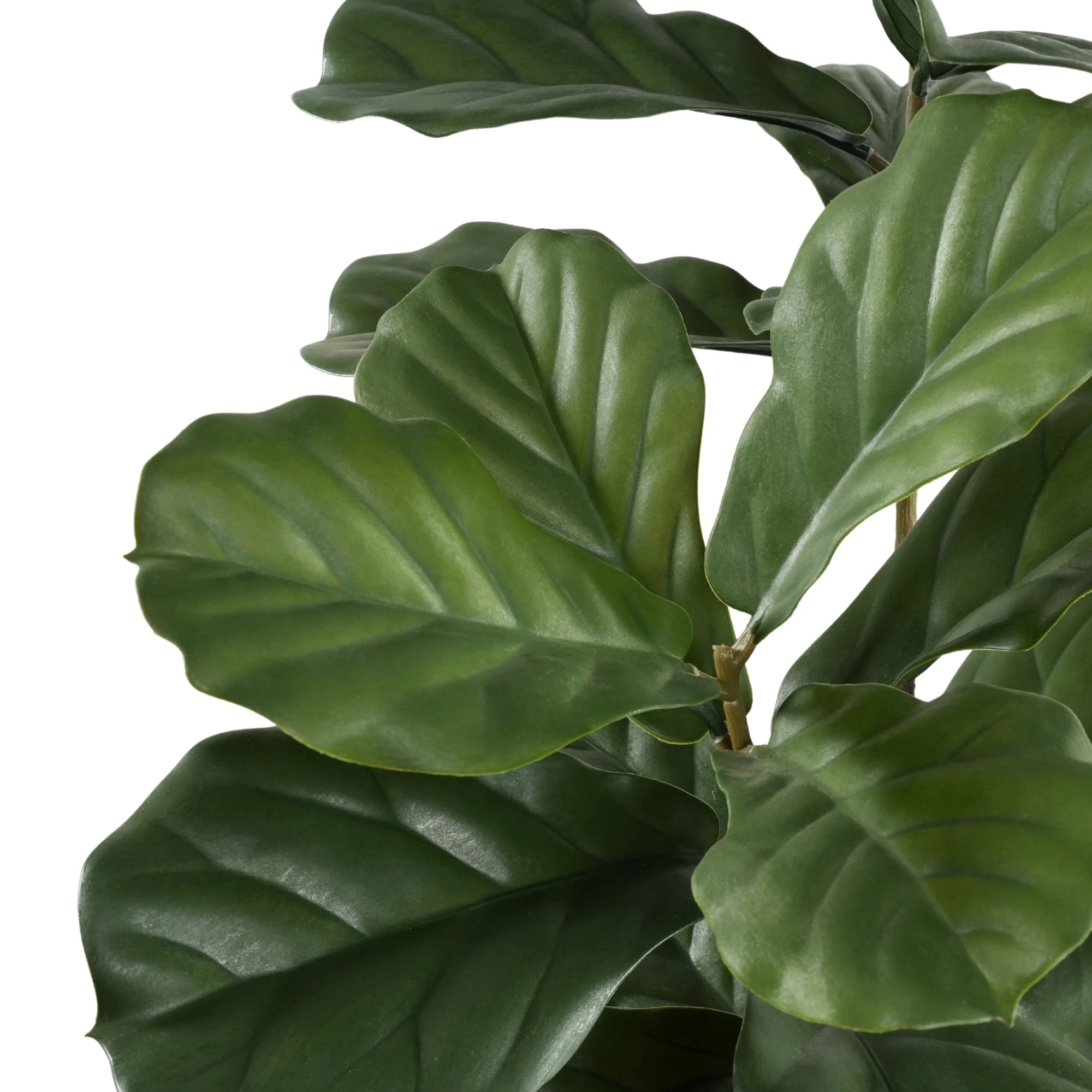 lifelike fiddle leaf fig tree Fiddle Leaf Artificial Tree 63.0in
