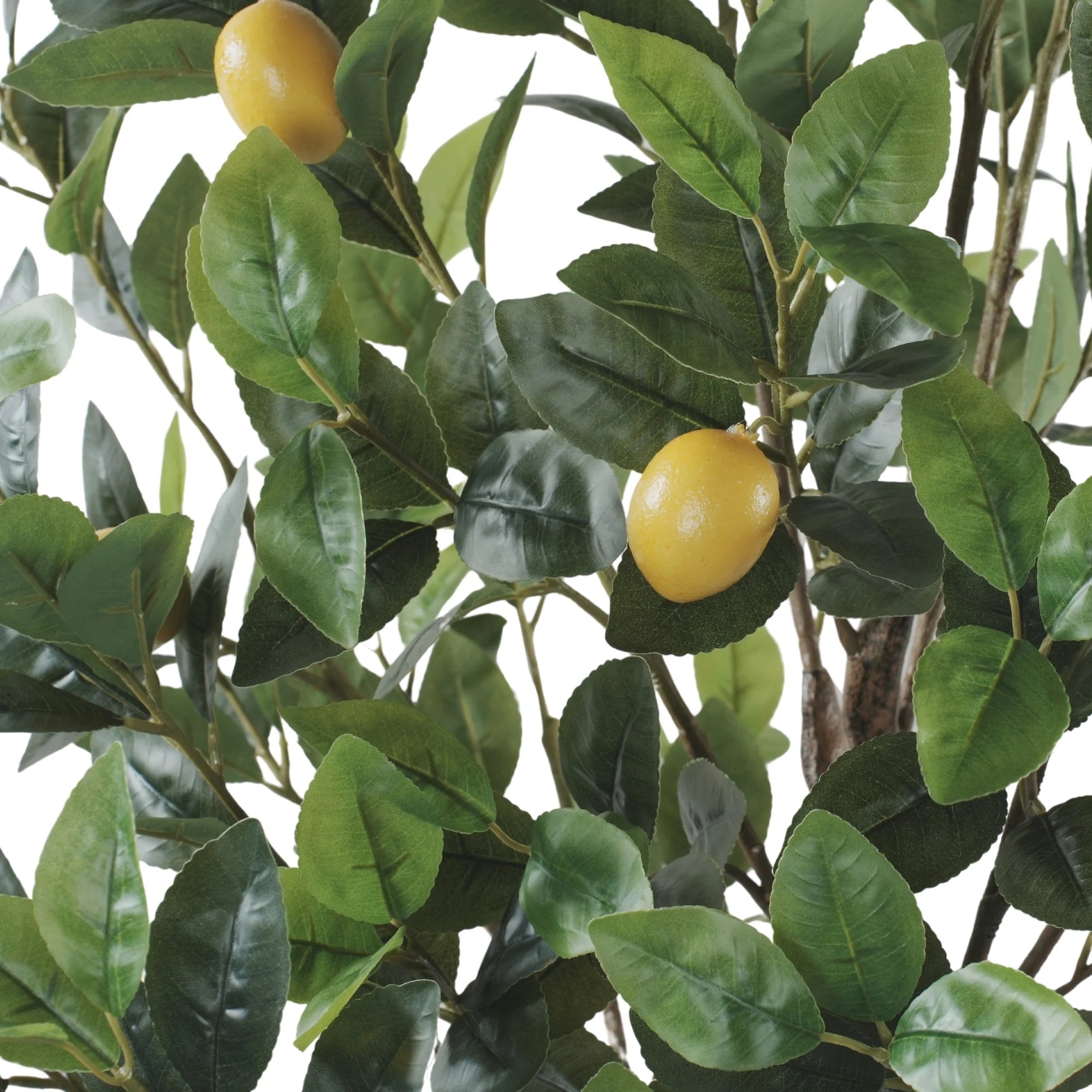 Premium Artificial Lemon Tree 63.0in