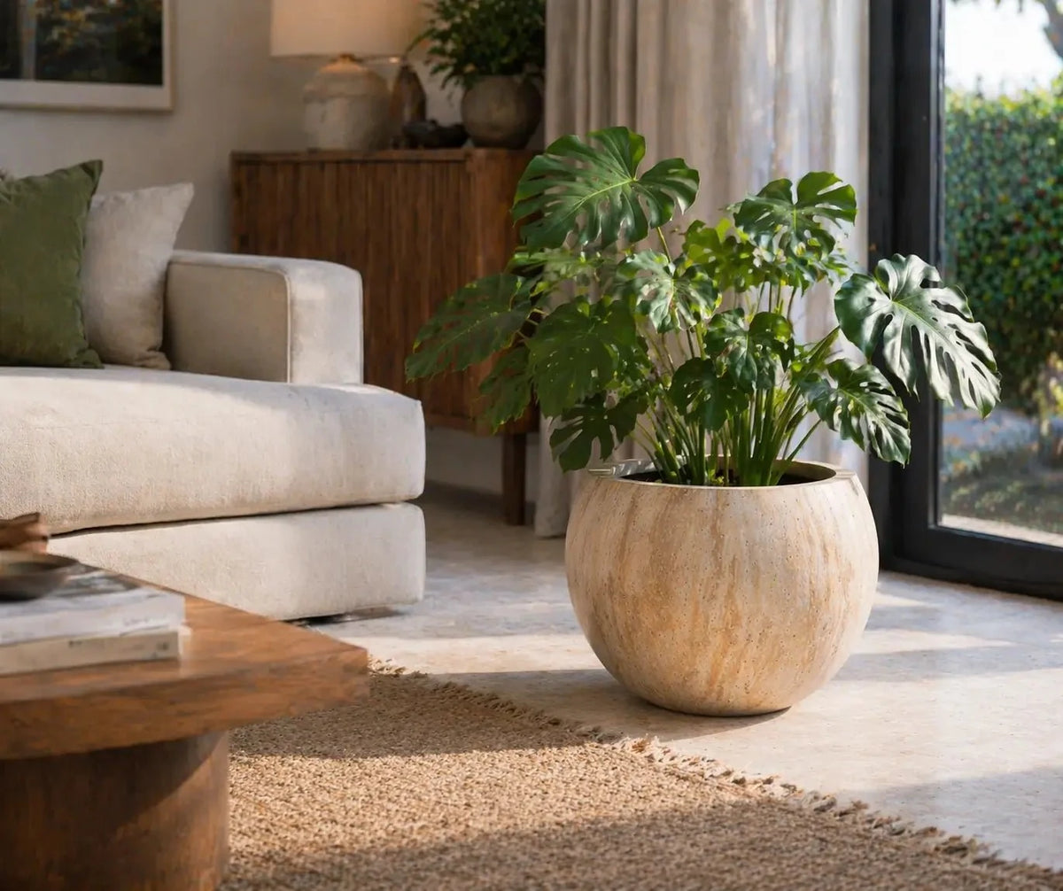 2-Piece Luxury Rounded Marble Bowl Planter Set