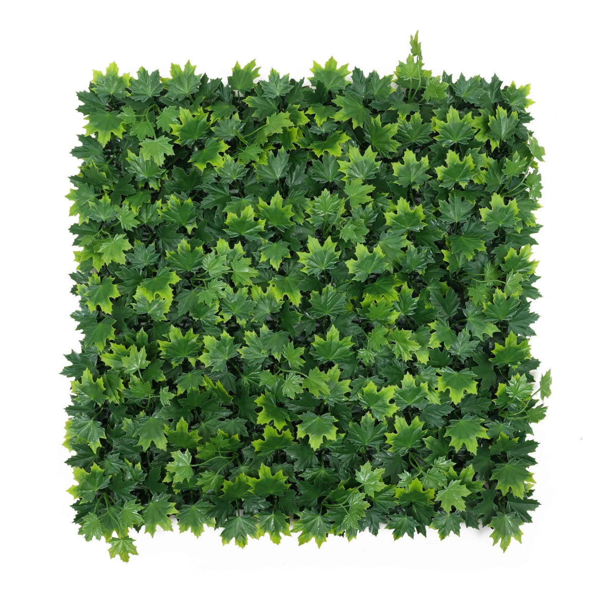 Maple Artificial Vertical Garden Green Wall Panel 40×40in 11 SQ FT – UV Resistant – Commercial Grade