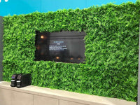Panel de muestra de pared verde artificial de helecho exuberante (muestra pequeña) Grado comercial resistente a los rayos UV