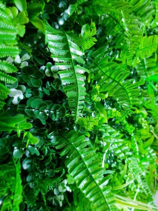 Sample Panel – Wild Tropics Vertical Garden (Small Sample)