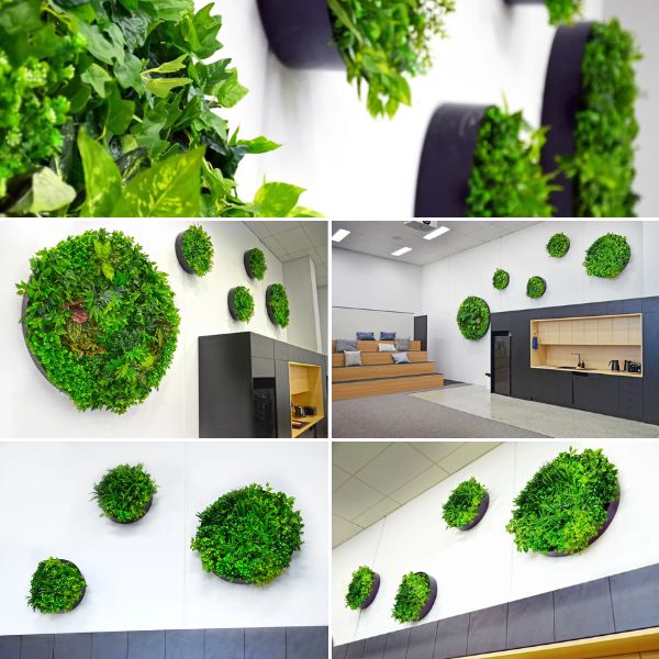Commercial Spaces Transformed With Artificial Green Walls