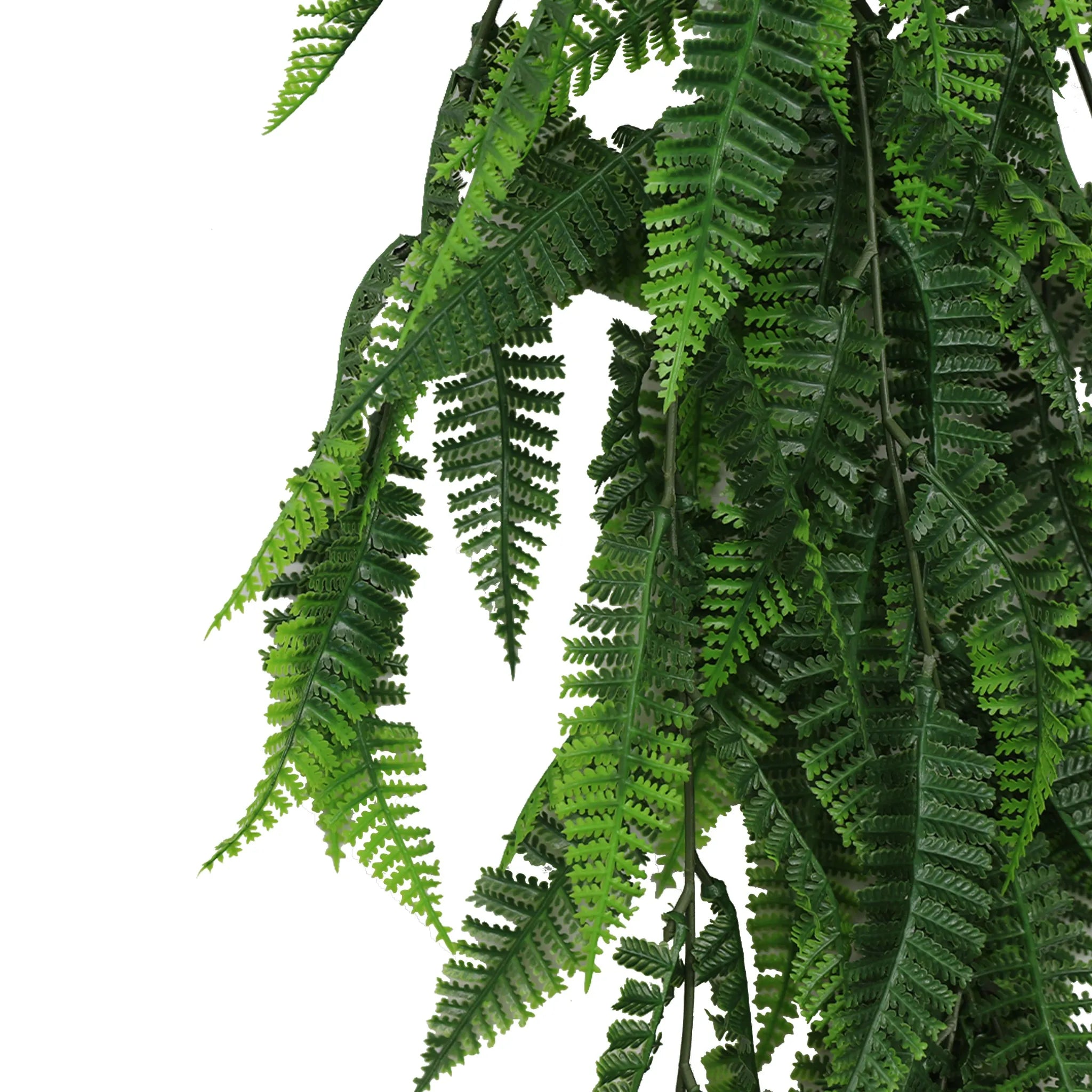 Set of 10 – Artificial Hanging Fern Garland Bushes (UV Resistant &amp; Fire Rated | 7.1in x 30in | 18cm x 76cm Each)