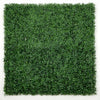 Sample Panel – Dark Boxwood Green Wall (Small Sample)