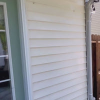 Faux Plant Disc Plant Wall Art Installed onto a Back Wall