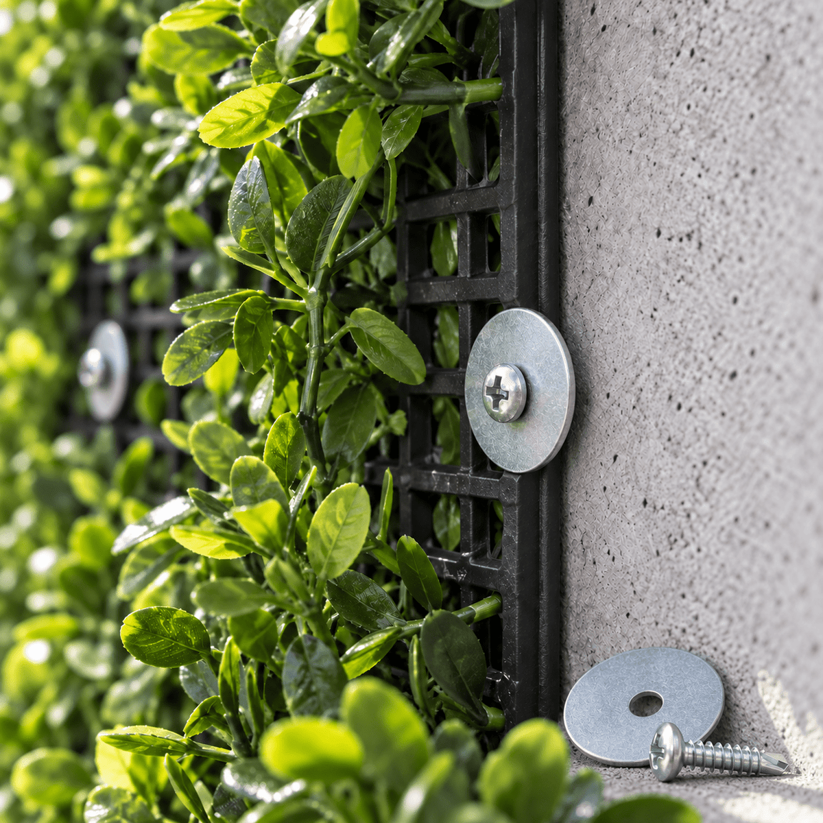 Exact 19 mm self-drilling screw and 30 mm washer securing an artificial green wall panel