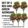 Red and Green Aeoniums Succulent Artificial Topiary Set of 5 11.8in – UV Resistant