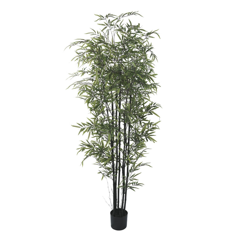 Premium Dense Artificial Black Bamboo 70.9in