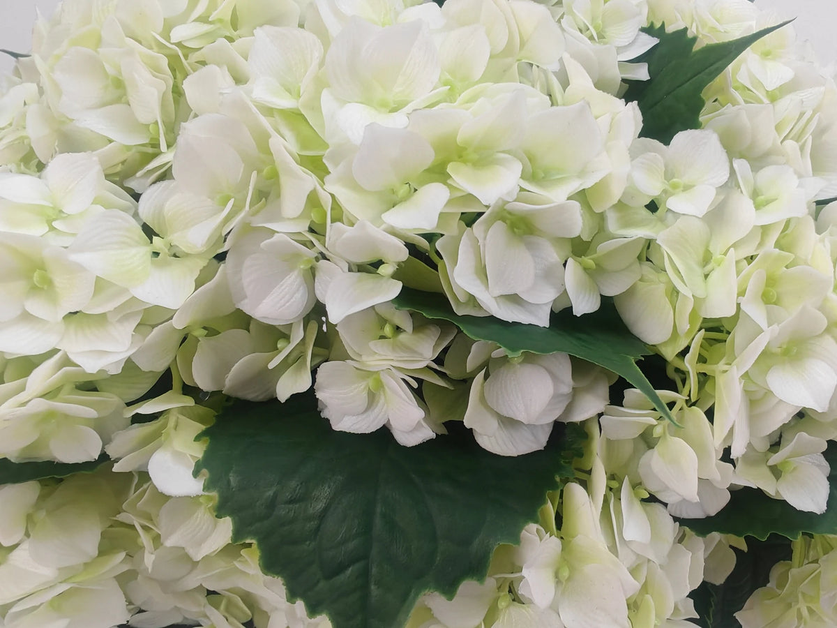 Close-up of white artificial hydrangea petals and green leaves on the hydrangea bush
