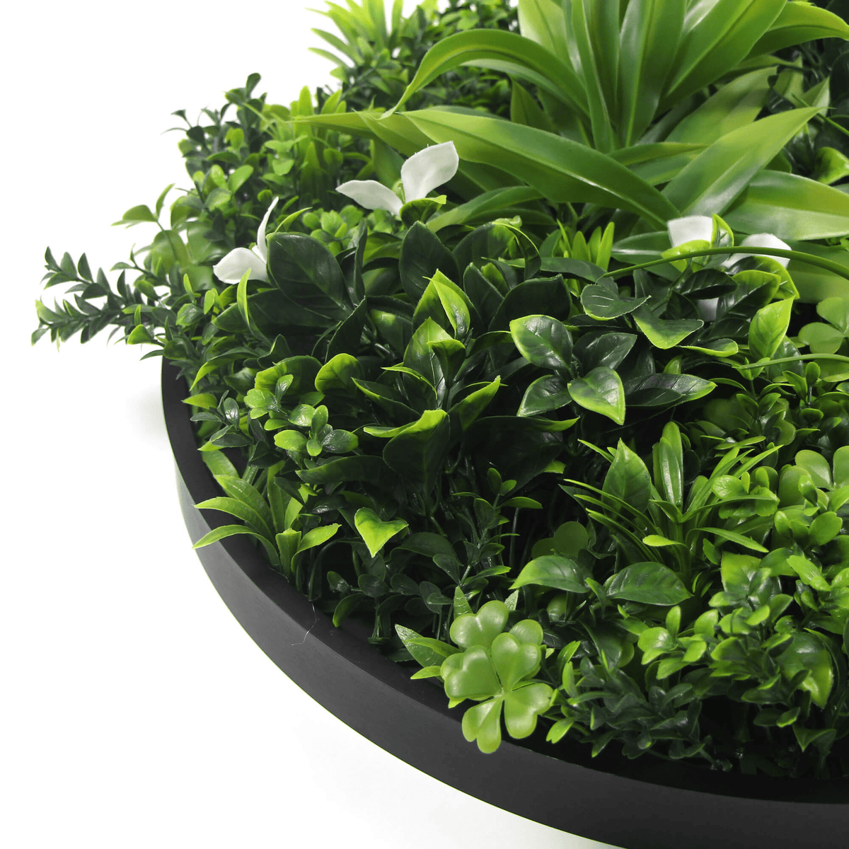 Artificial Green Wall Disc 20" Black Frame