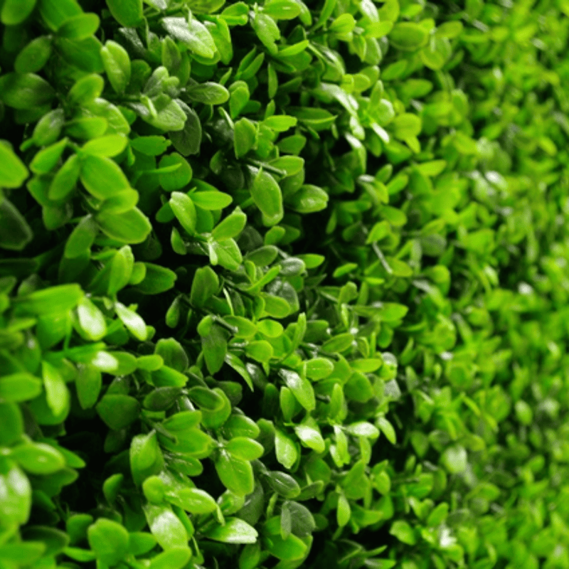 Bright Artificial Boxwood Wall 40" x 40"