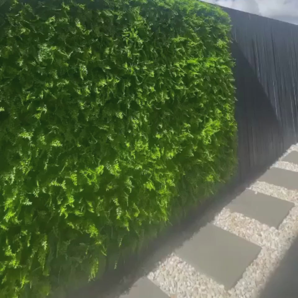 Artificial Green Wall Installed with Artificial Fern Hedge Panels
