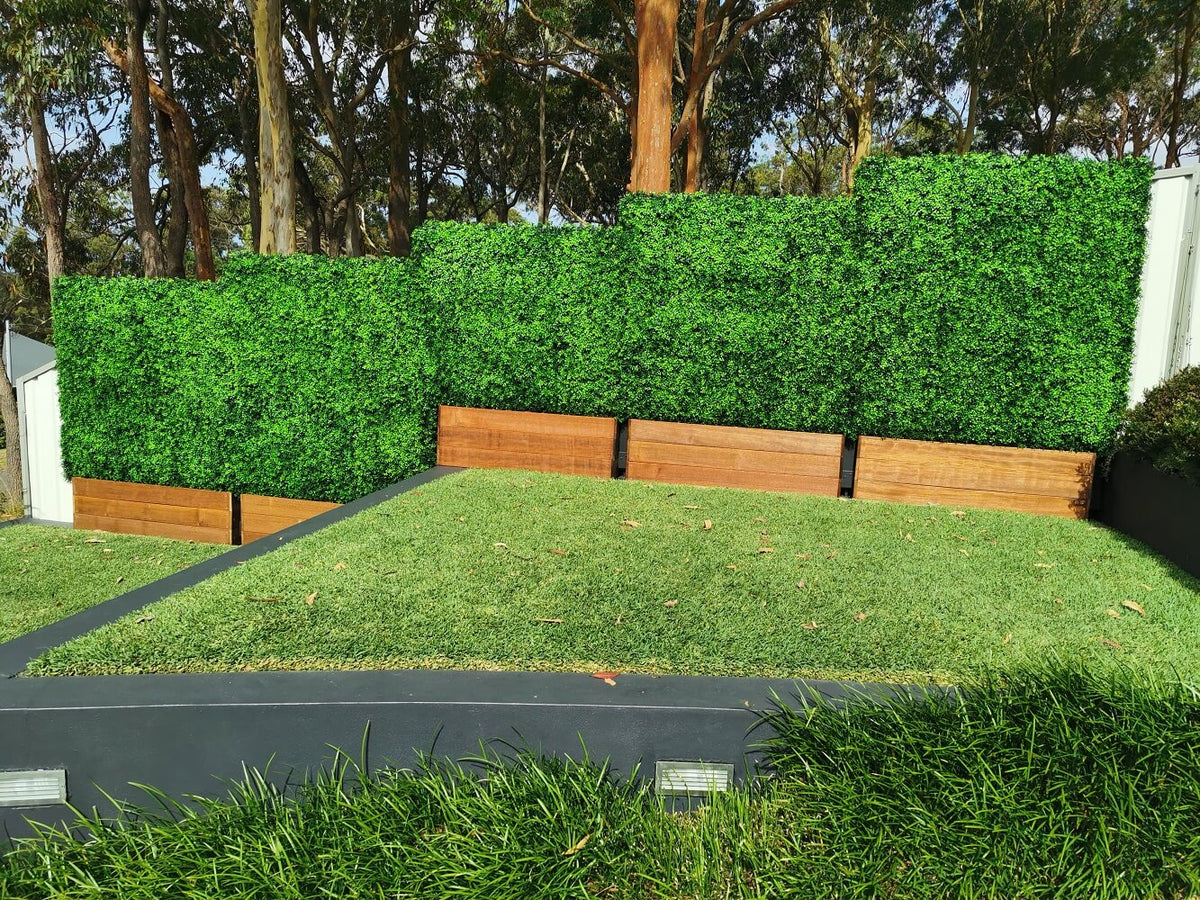 Artificial boxwood hedge installed onto a timber planter base outdoors