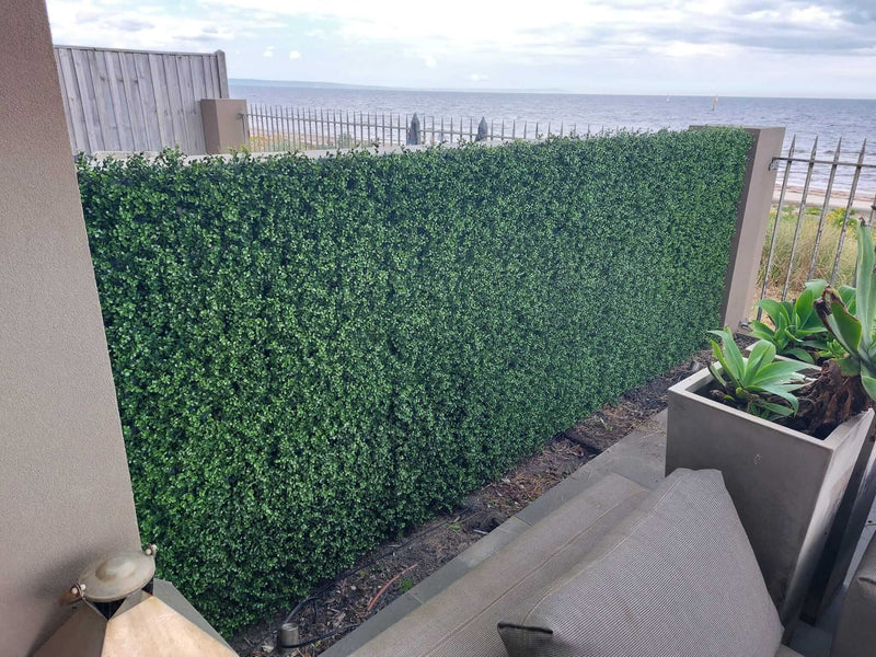 Artificial Boxwood Hedge Panel Natural Buxus Installed onto a Fence