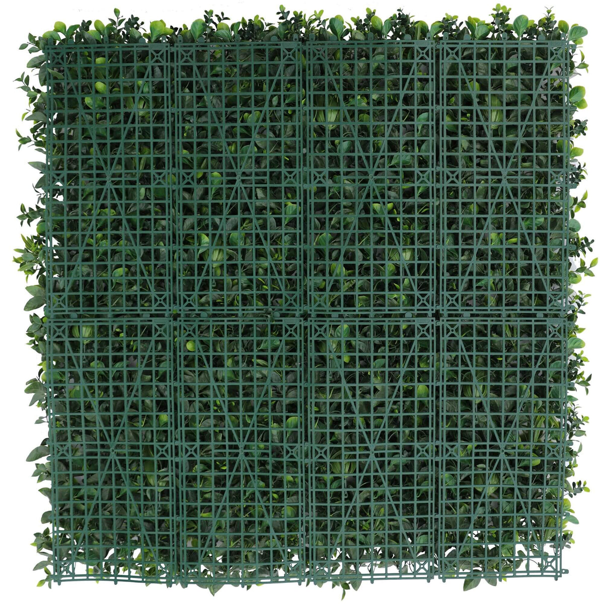 Artificial Living Wall With Lavender Flowers Back View of Hedge Panel