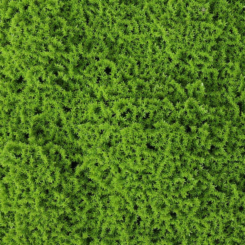 Artificial Moss Hedge Panel Screen Front View of Green Wall Moss Panel Close up of Moss Leaves