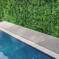Green Meadows Artificial Vertical Garden Pool side installation