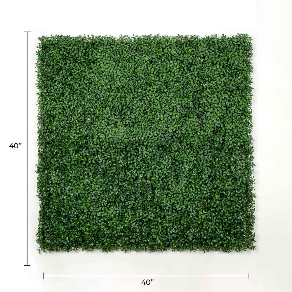 Dark Artificial Boxwood Wall 40" x 40" 11SQ FT Commercial Grade UV Resistant