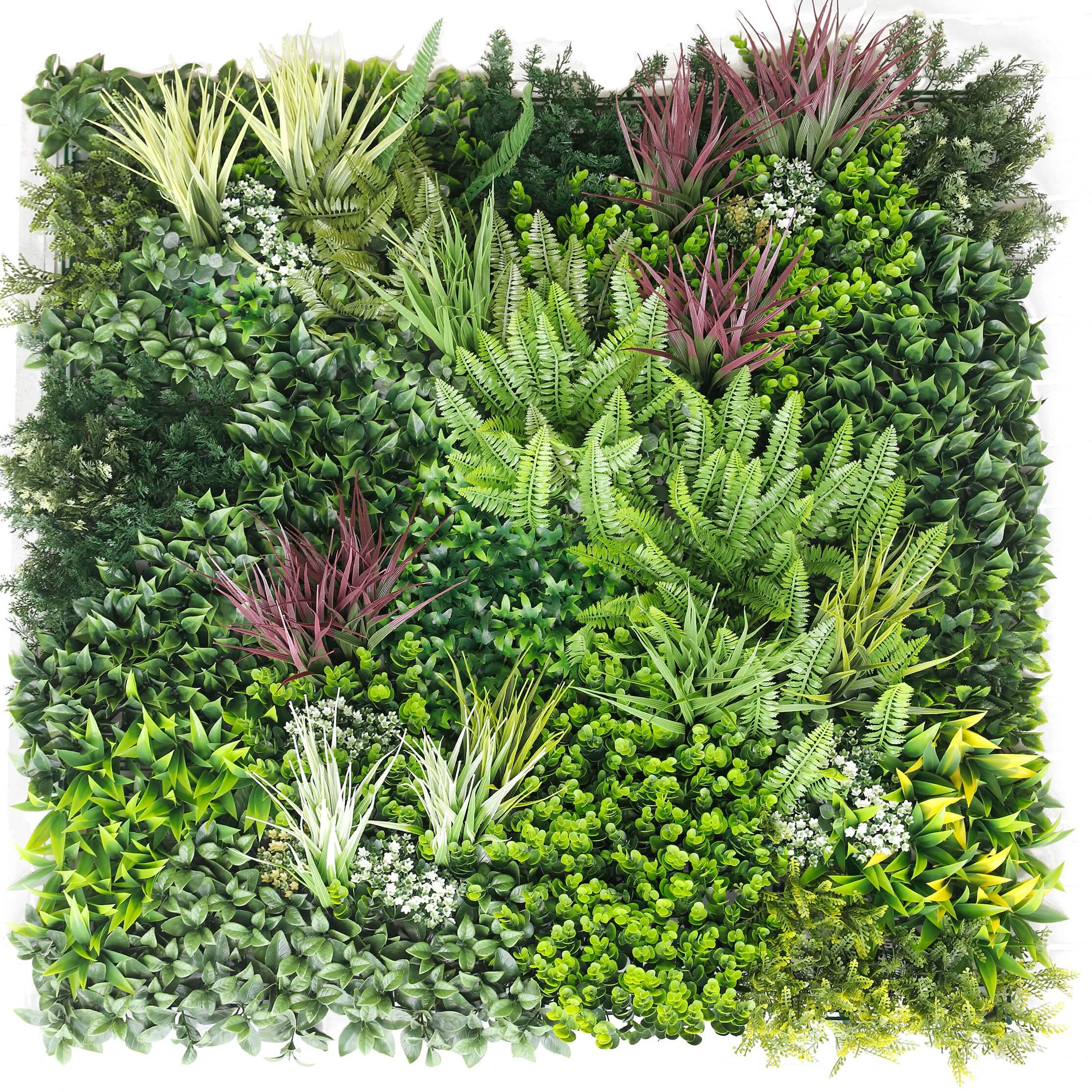 High quality artificial green wall panel with ferns and red grasses