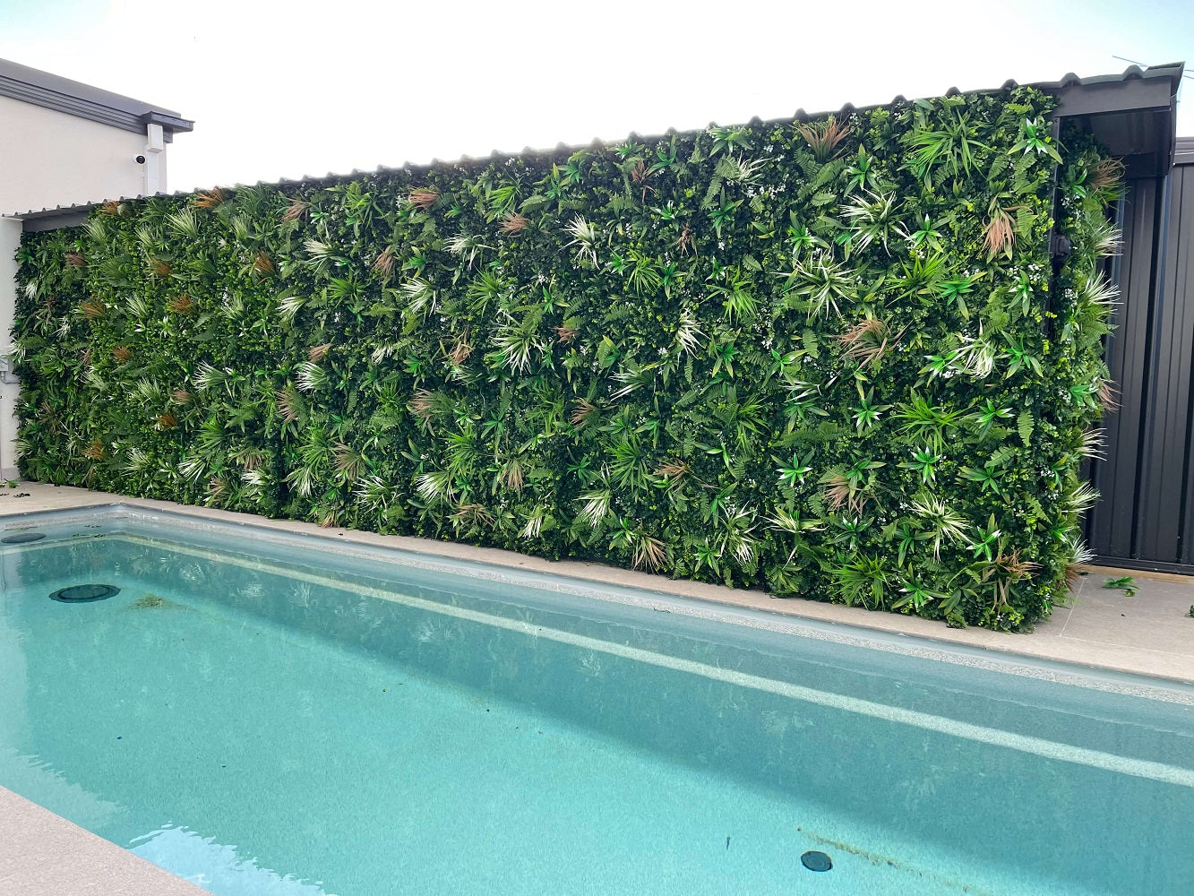 Premium Artificial Vertical Garden with Ivy and Artificial Grasses with brown and white grasses