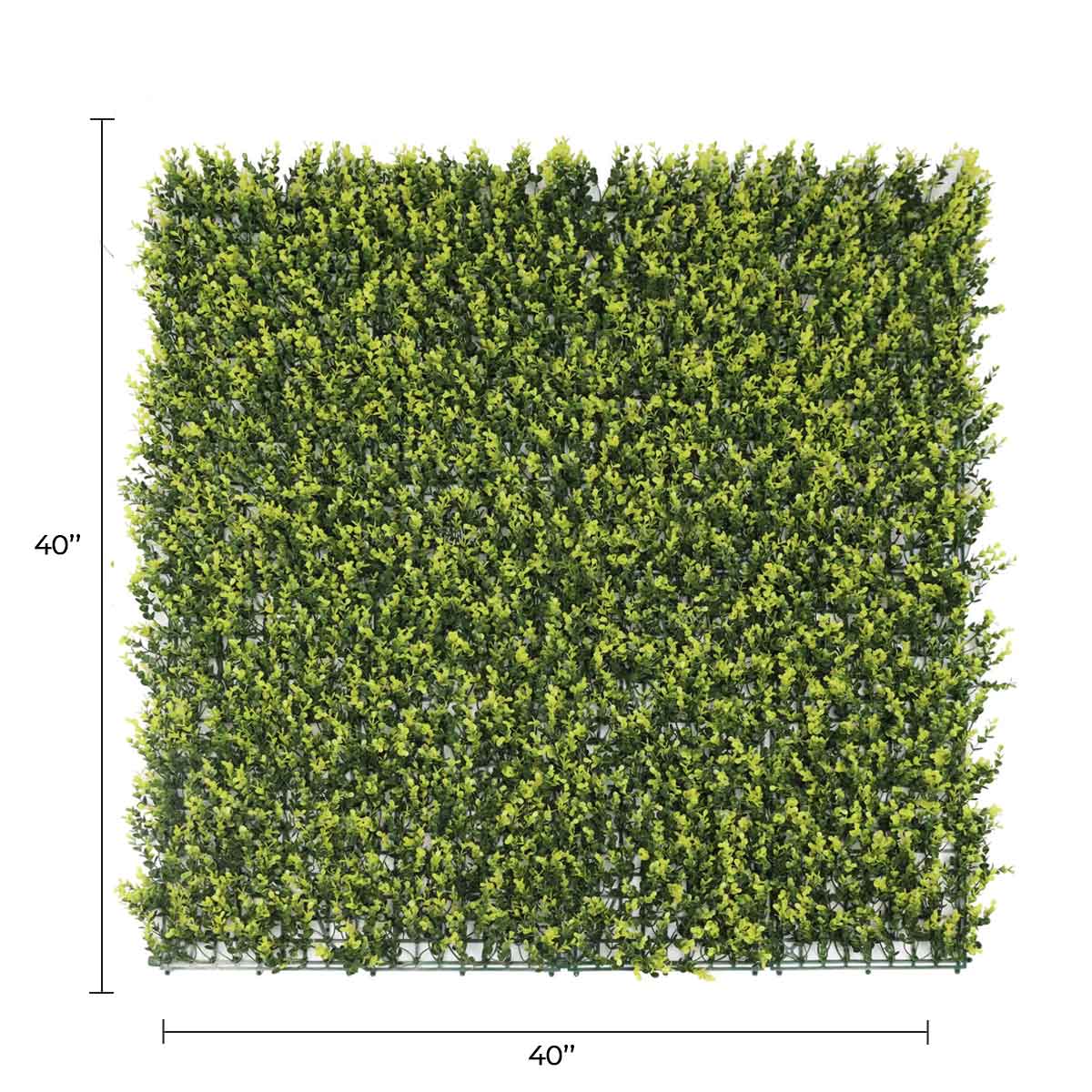 Yellow English Boxwood Artificial Vertical Garden Green Wall Panel 40×40in 11 SQ FT – UV Resistant – Commercial Grade…