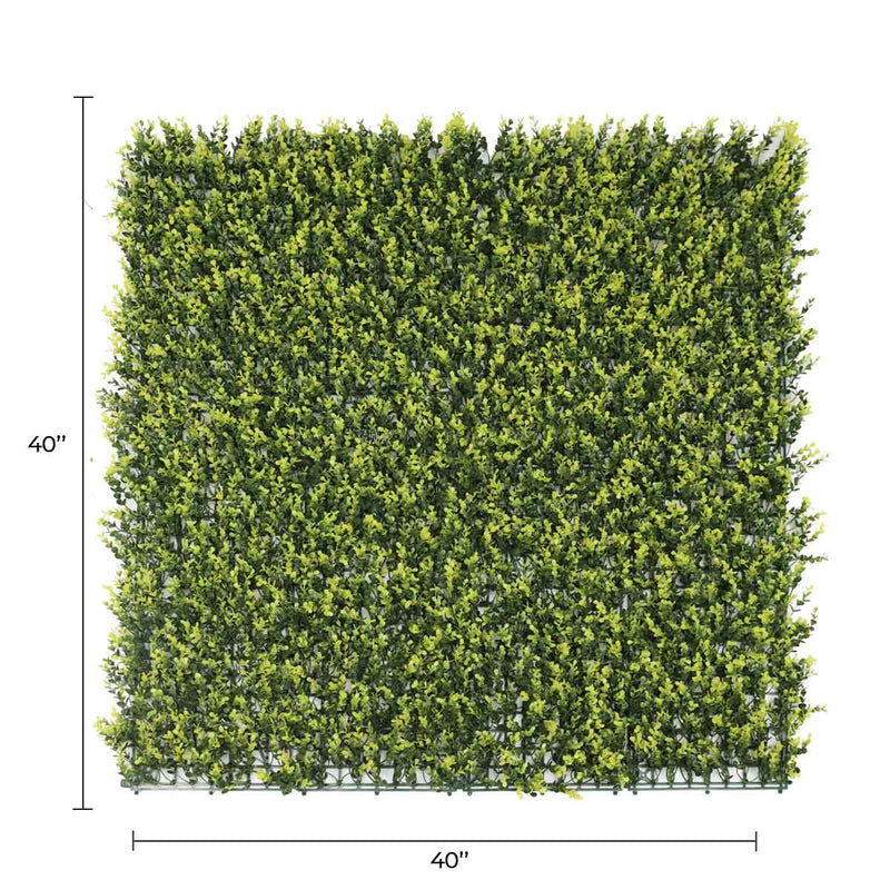 Yellow English Artificial Boxwood Wall 40" x 40" 11SQ FT Commercial Grade UV Resistant