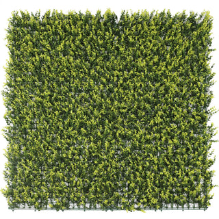 Yellow English Boxwood Artificial Vertical Garden Green Wall Panel 40×40in 11 SQ FT – UV Resistant – Commercial Grade