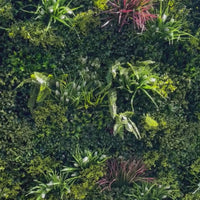 Premium Artificial Green Wall Panel Florida Showing Transformation