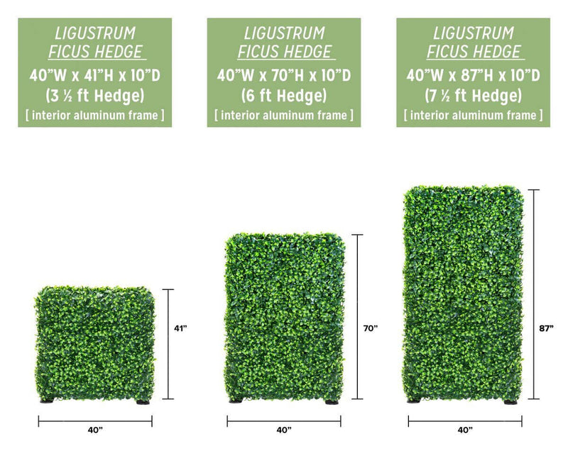 Seto artificial Ligustrum Ficus independiente (3 tamaños) resistente a los rayos UV