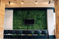 Artificial Vertical Garden Panel Miami Office Fit out with TV
